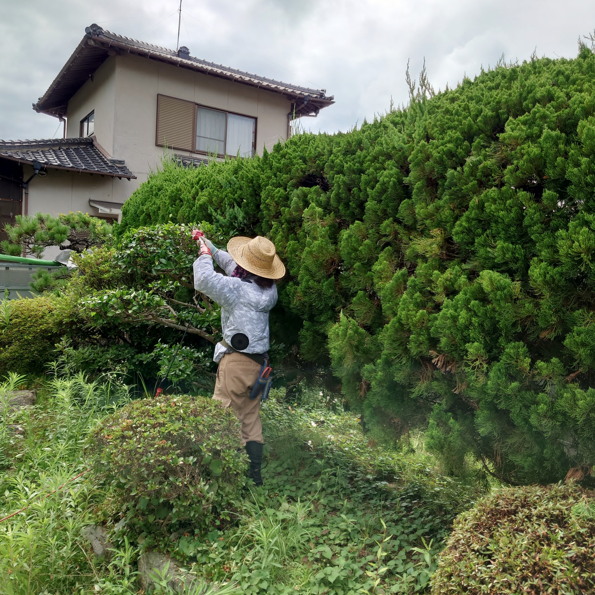 幅広く対応